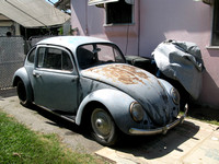 65 VW Bug for sale